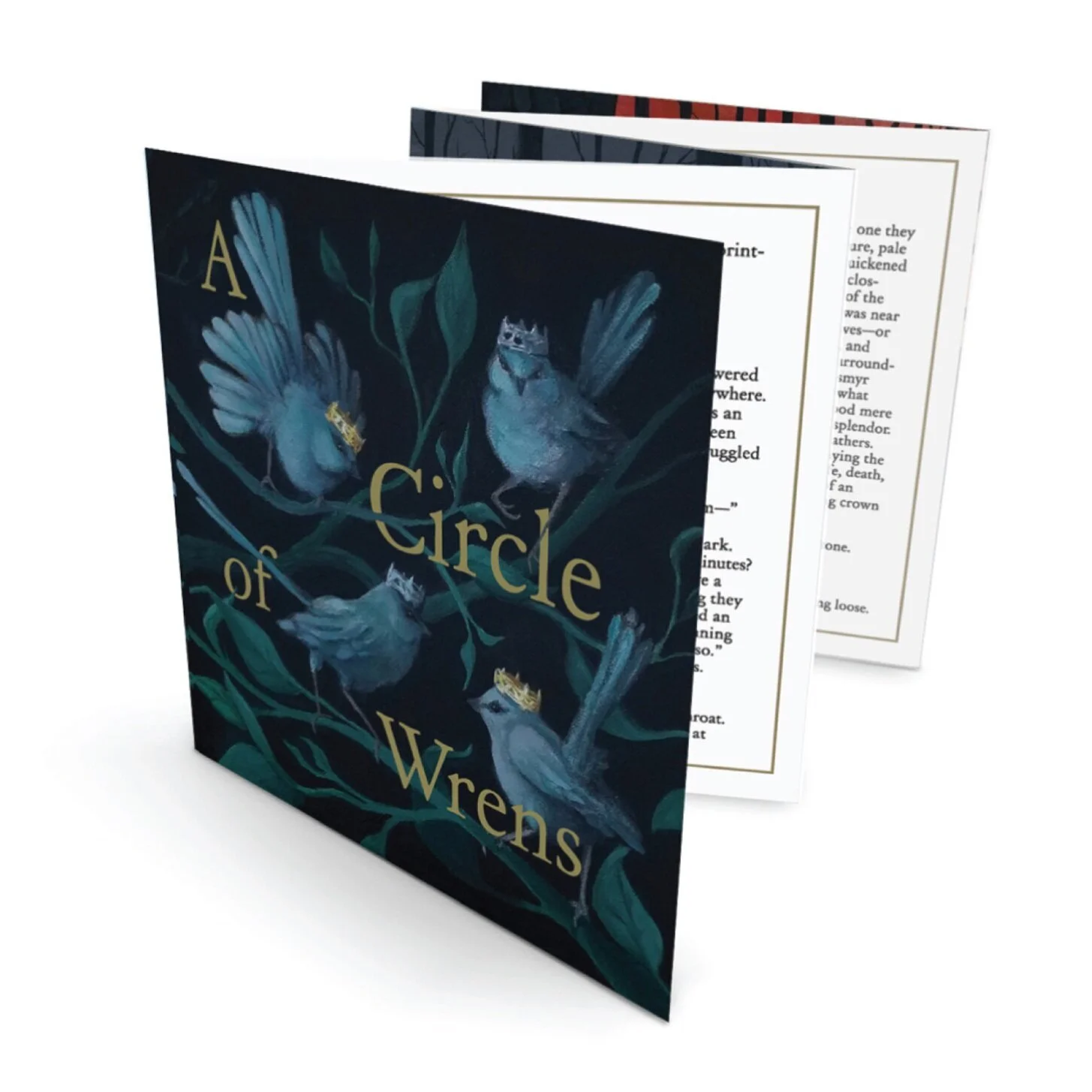 Wren Raphael A Circle of Wrens Accordion-Fold