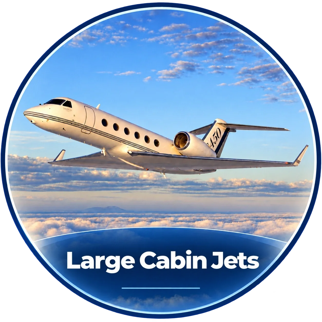 Large Cabin Jets