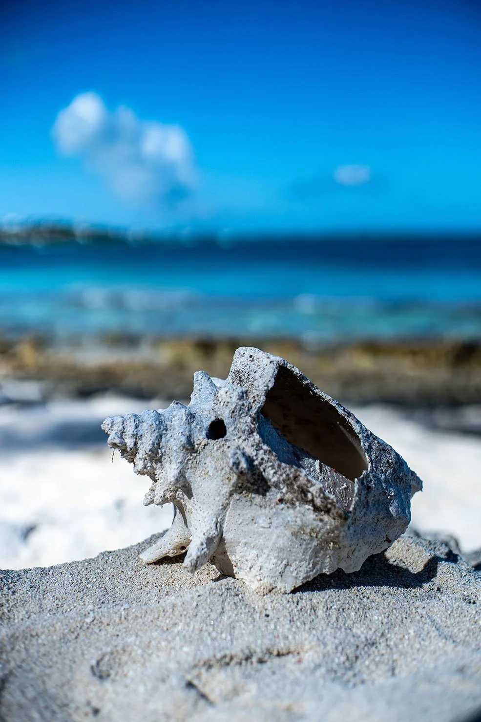 Turks and Caicos