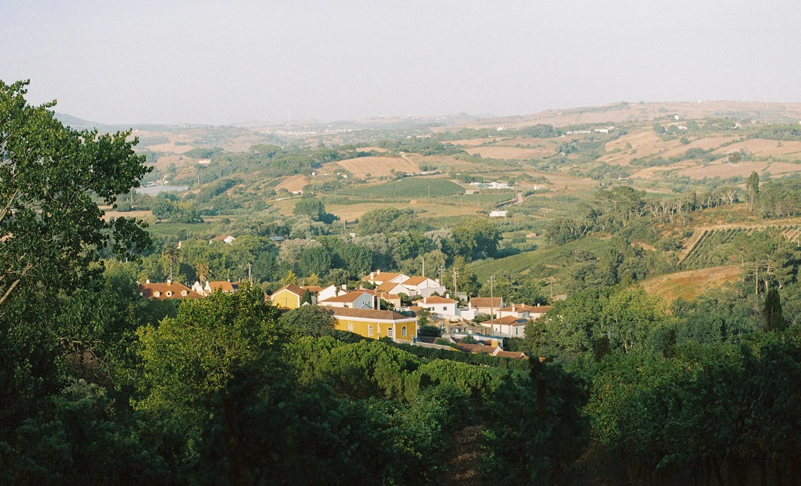 Vineyard hills and village rooftops at Quinta de Sant'Ana, Gradil Mafra Portugal | destination wedding photography by The Lopes Photography