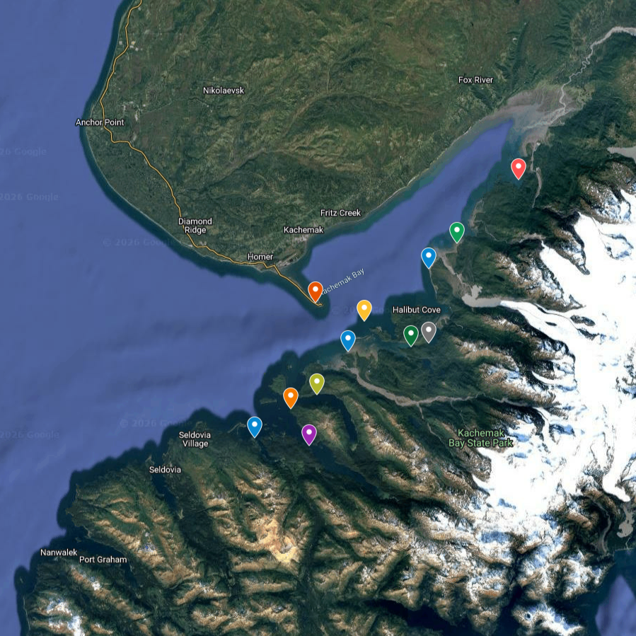 Google My Maps image of Kachemak Bay and Mako's Water Taxi drop off destinations.