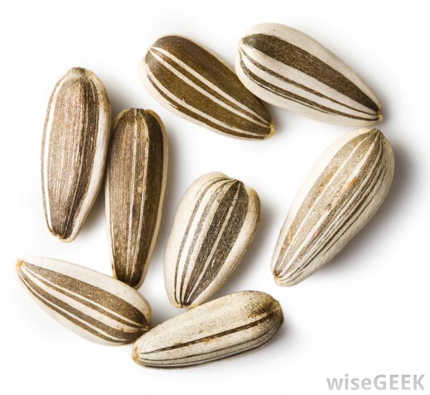 seeds1.jpg