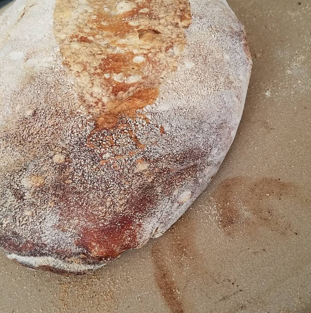 Screenshot 2026-03-20 at 5.20.28 PM.png