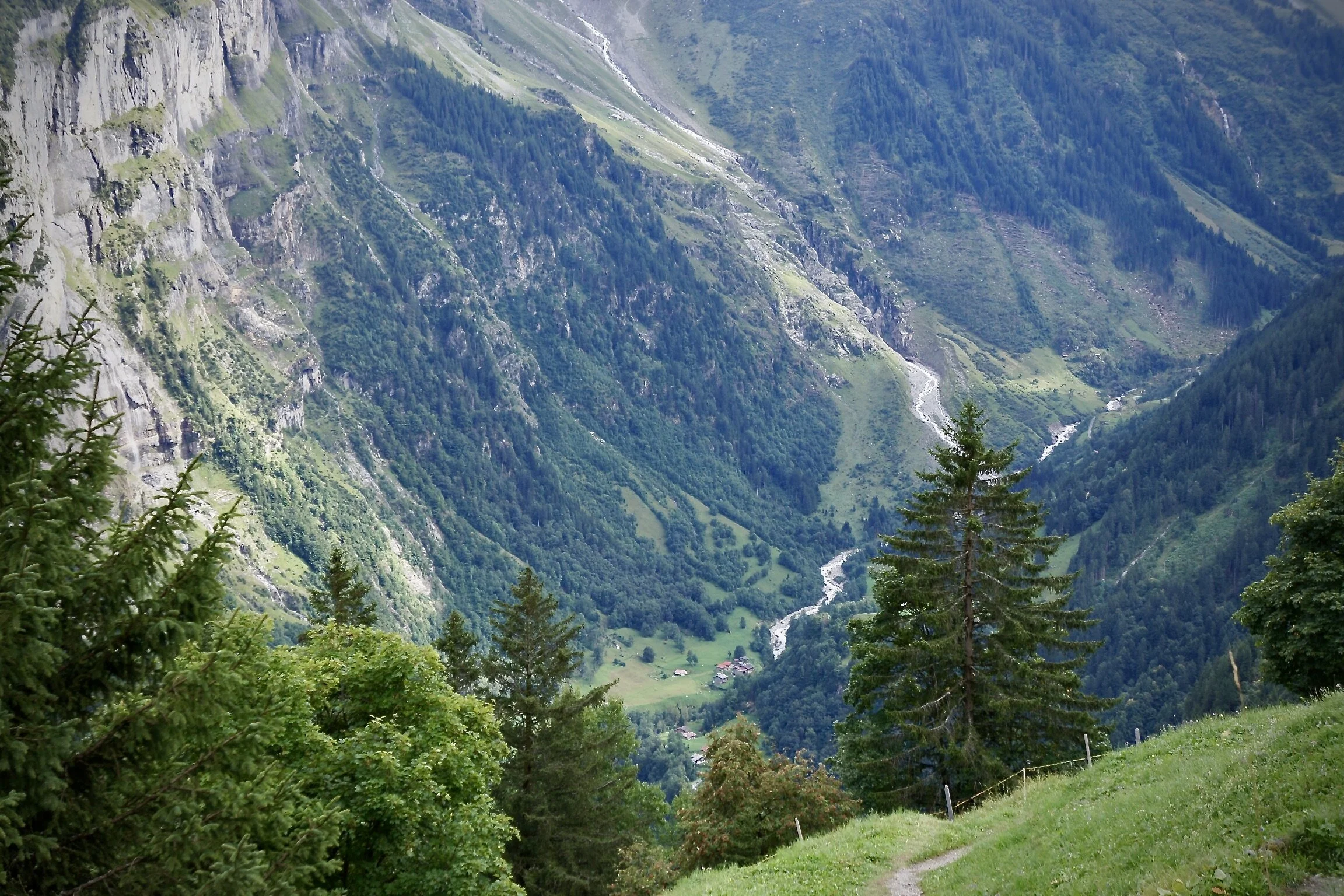 4F9817D8-3E7E-401C-90BE-49F95B95125D_1_201_a.jpeg