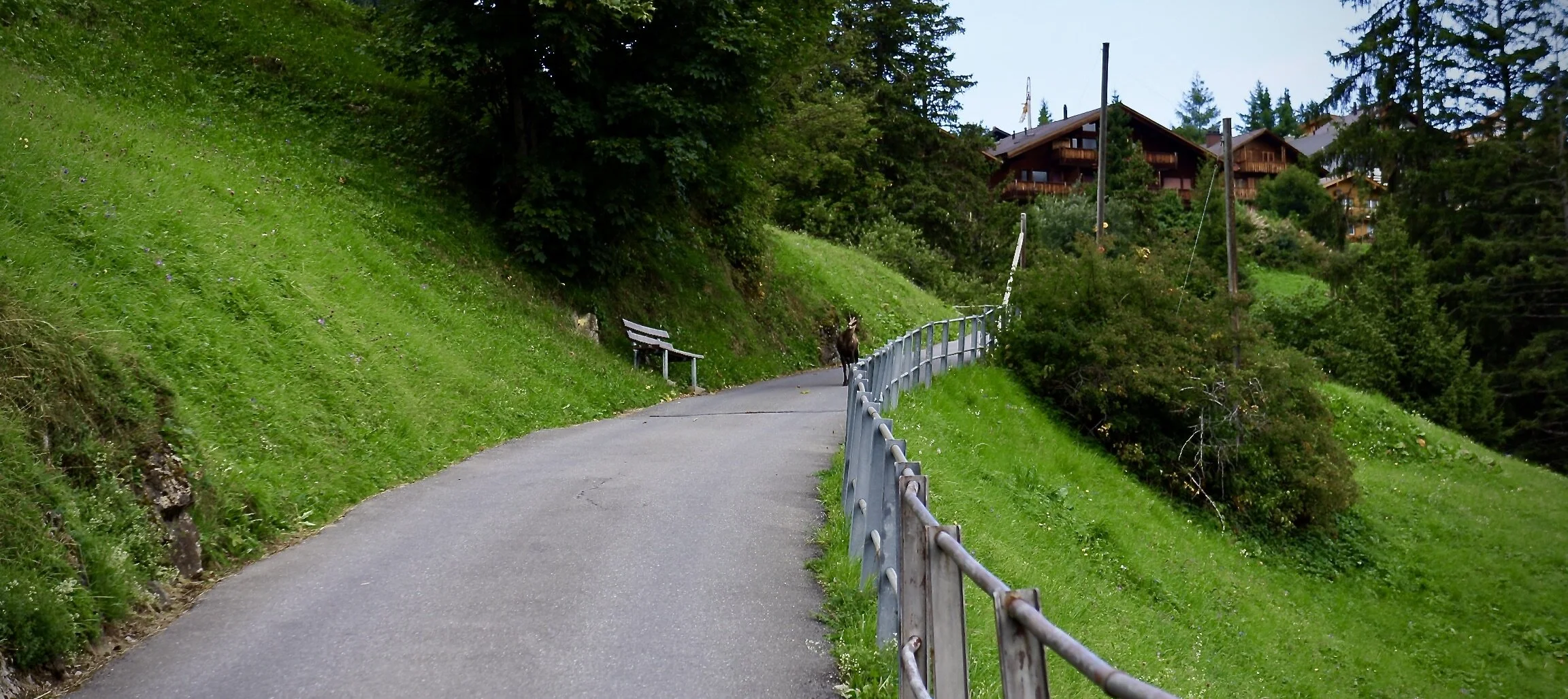 2261036A-ABB3-419E-BDE4-D22446C69FDF_1_201_a.jpeg