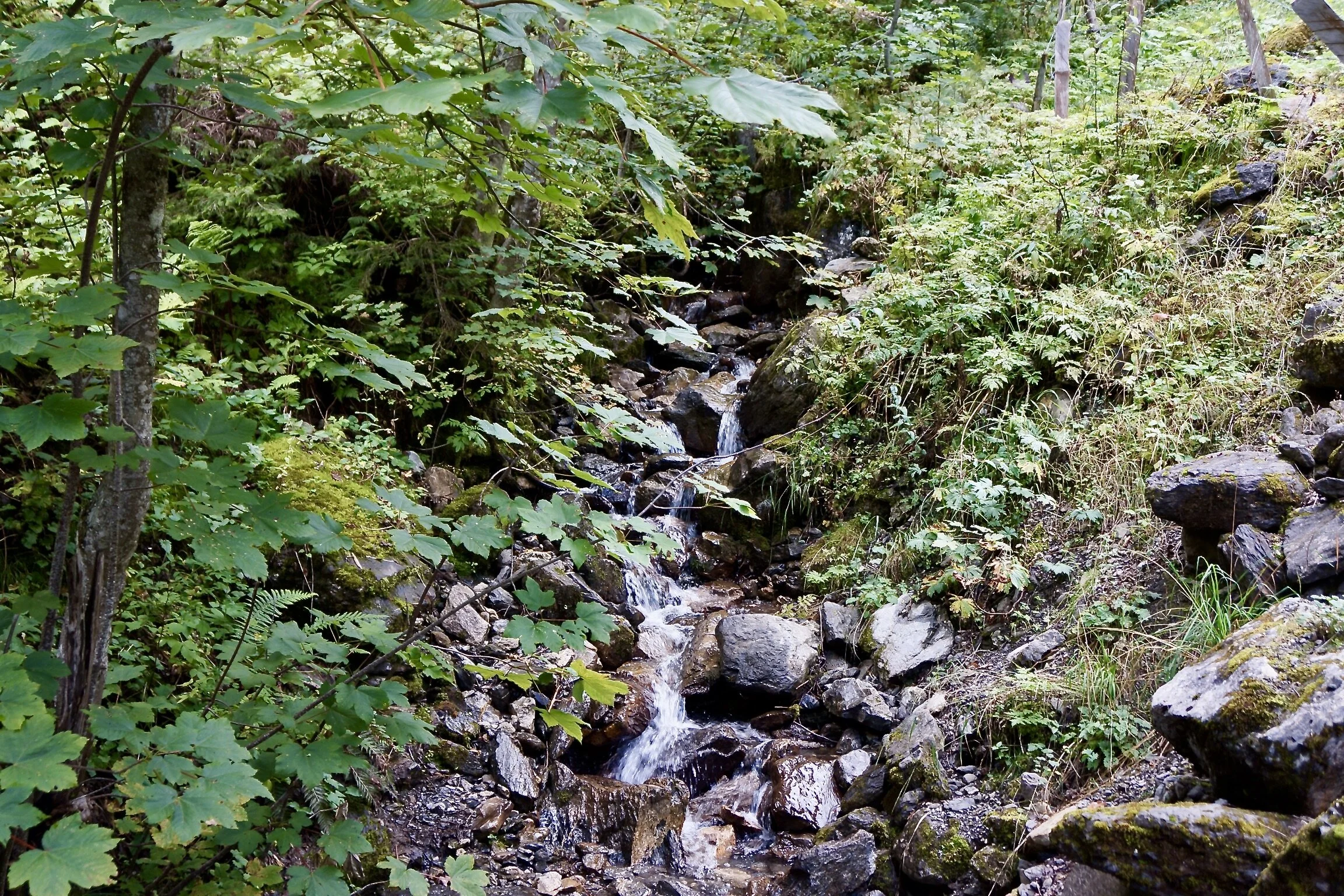 A clear brook...