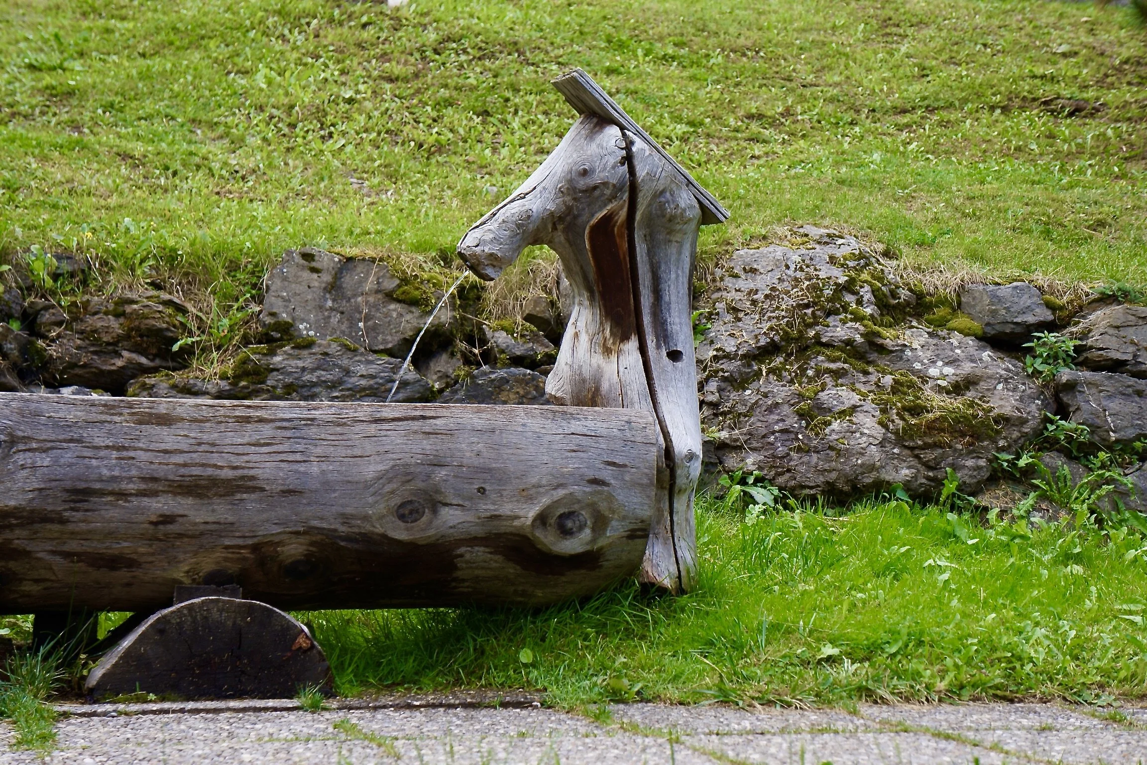 An organic faucet.