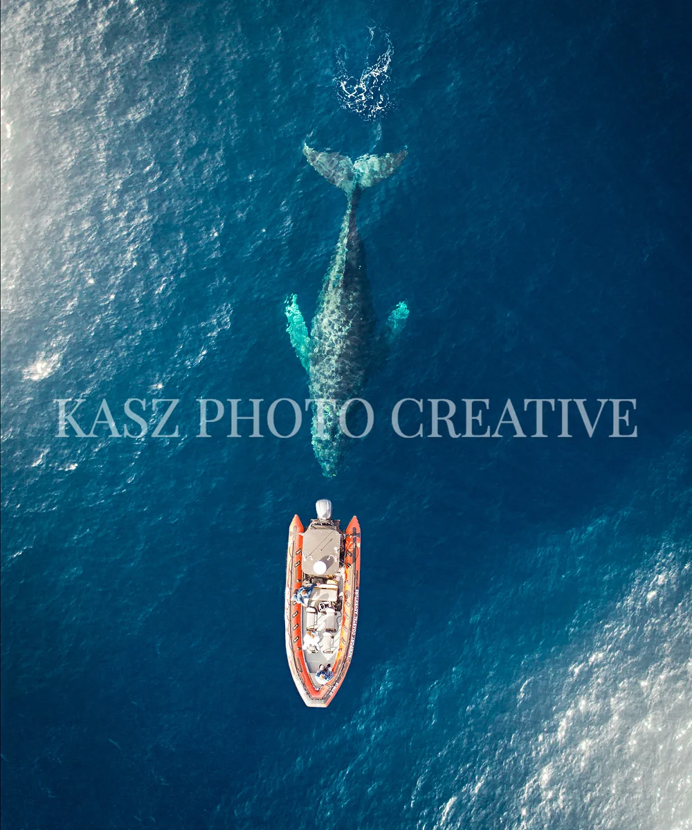 I recommend a 20x24 or smaller. I'm updating this print site in the next two days. Contact me if you want a bigger or custom size. emily@kaszphoto.com