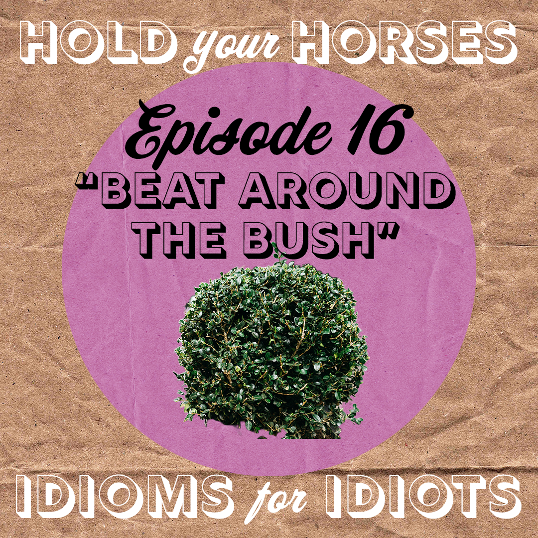 Episode 16. Beat Around the Bush episode artwork