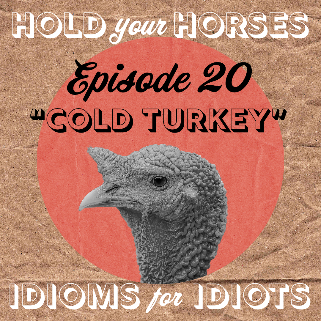 Episode 20. Cold Turkey episode artwork