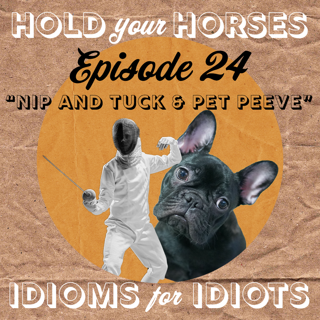 Episode 24. Nip and Tuck episode artwork