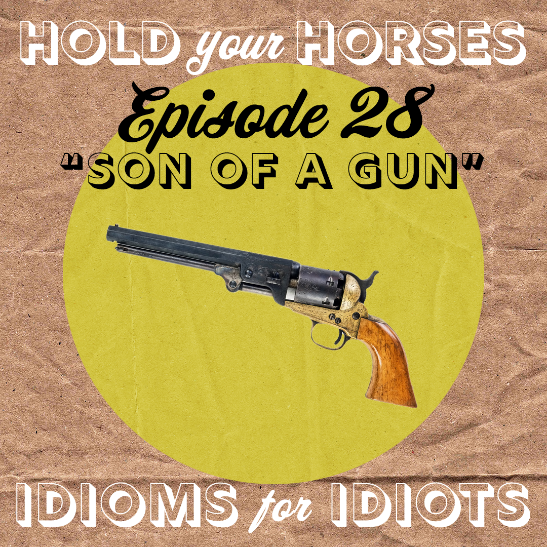 Episode 28. Son of a Gun episode artwork