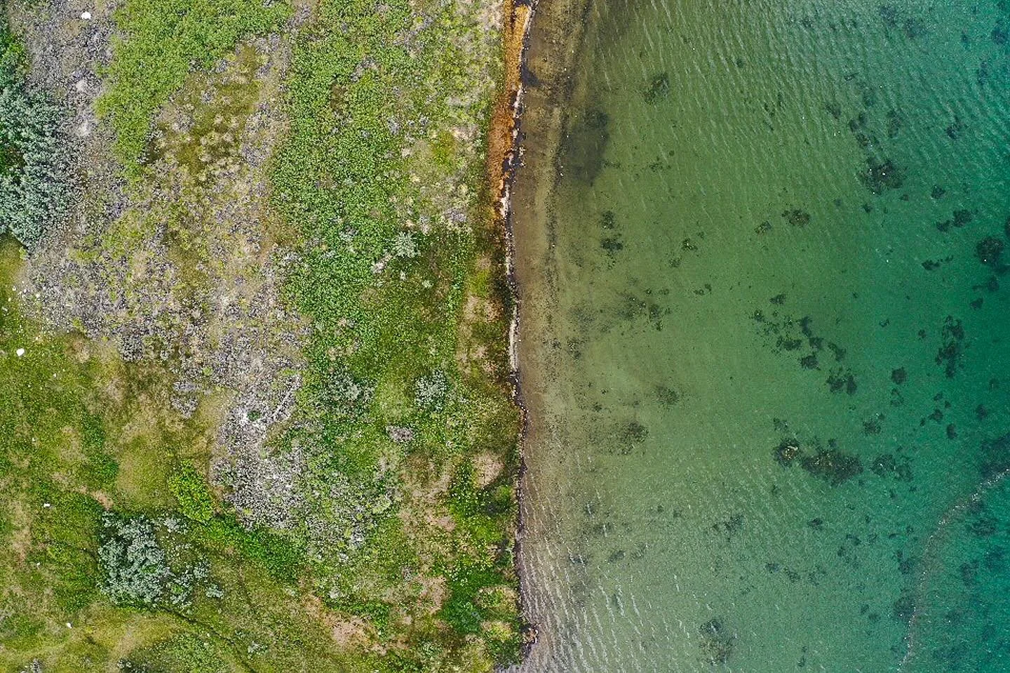 58/365 \ shoreline, really disappointed I didn&rsquo;t shoot these at higher resolution, always check!