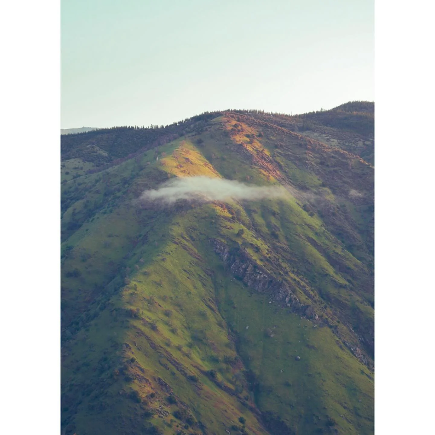 145/365 \ spring sunrise

#gx85