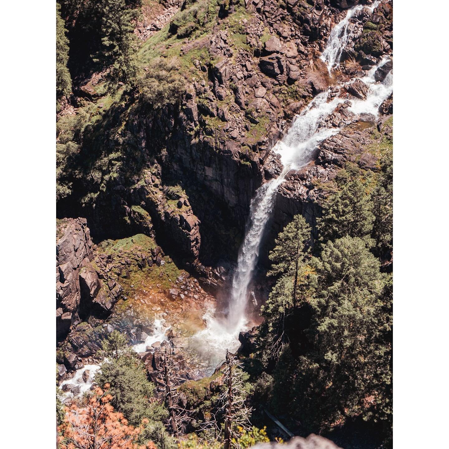 144/365 \ summer waterfalls 

#gx85