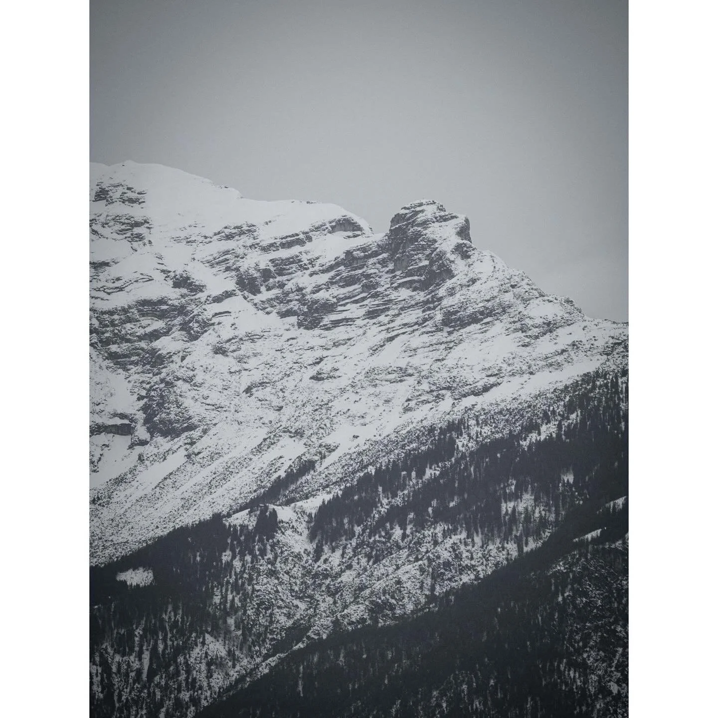 142/365 \ powdered sugar 

#gx85