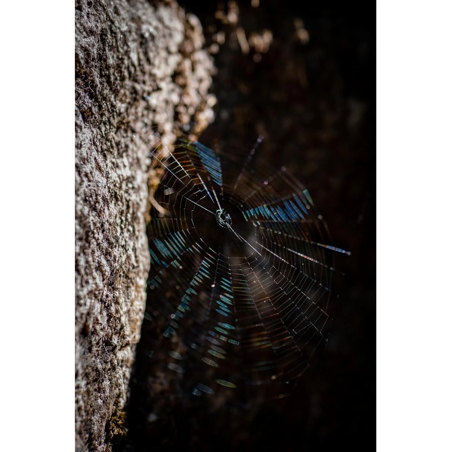 156/365 \ iridescent suspension 

#gx85