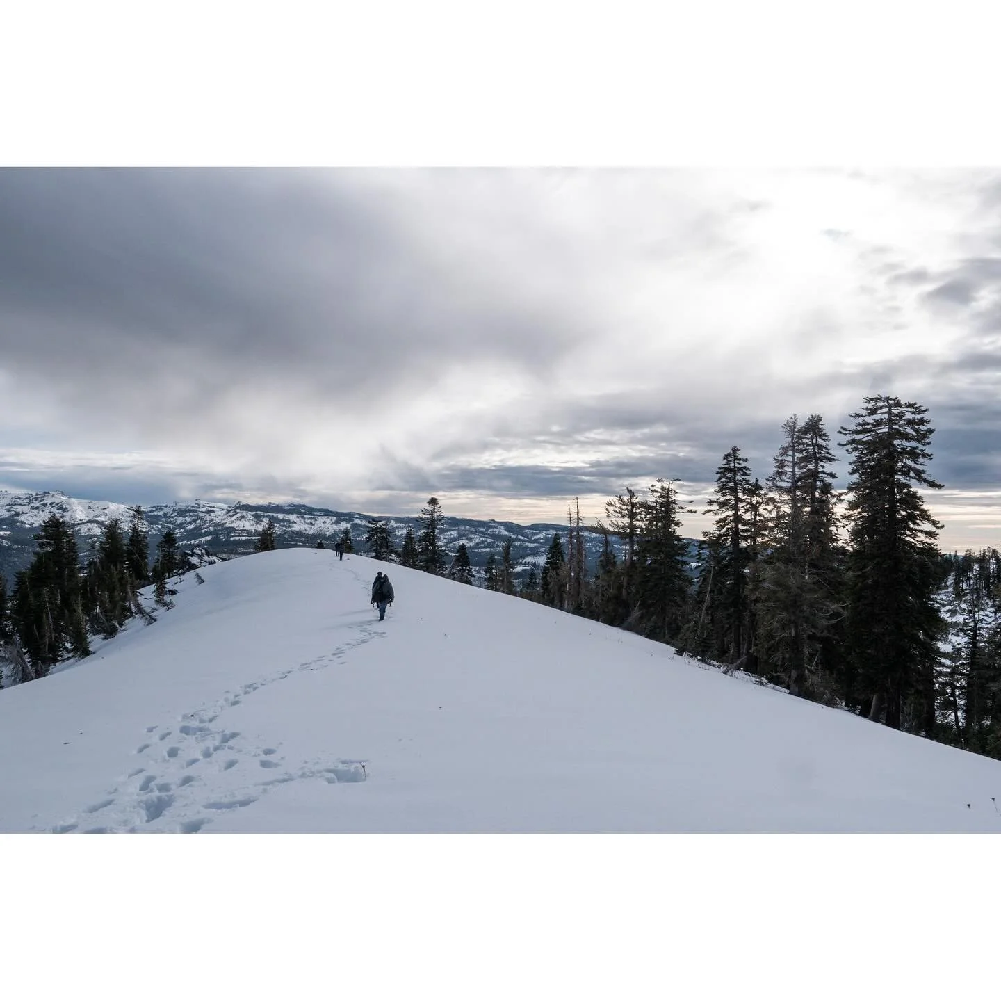 157/365 \ follow the tracks | a hike in December a few years back to the Dardanelle cones, frozen feet by the end of this stretch

#gh5