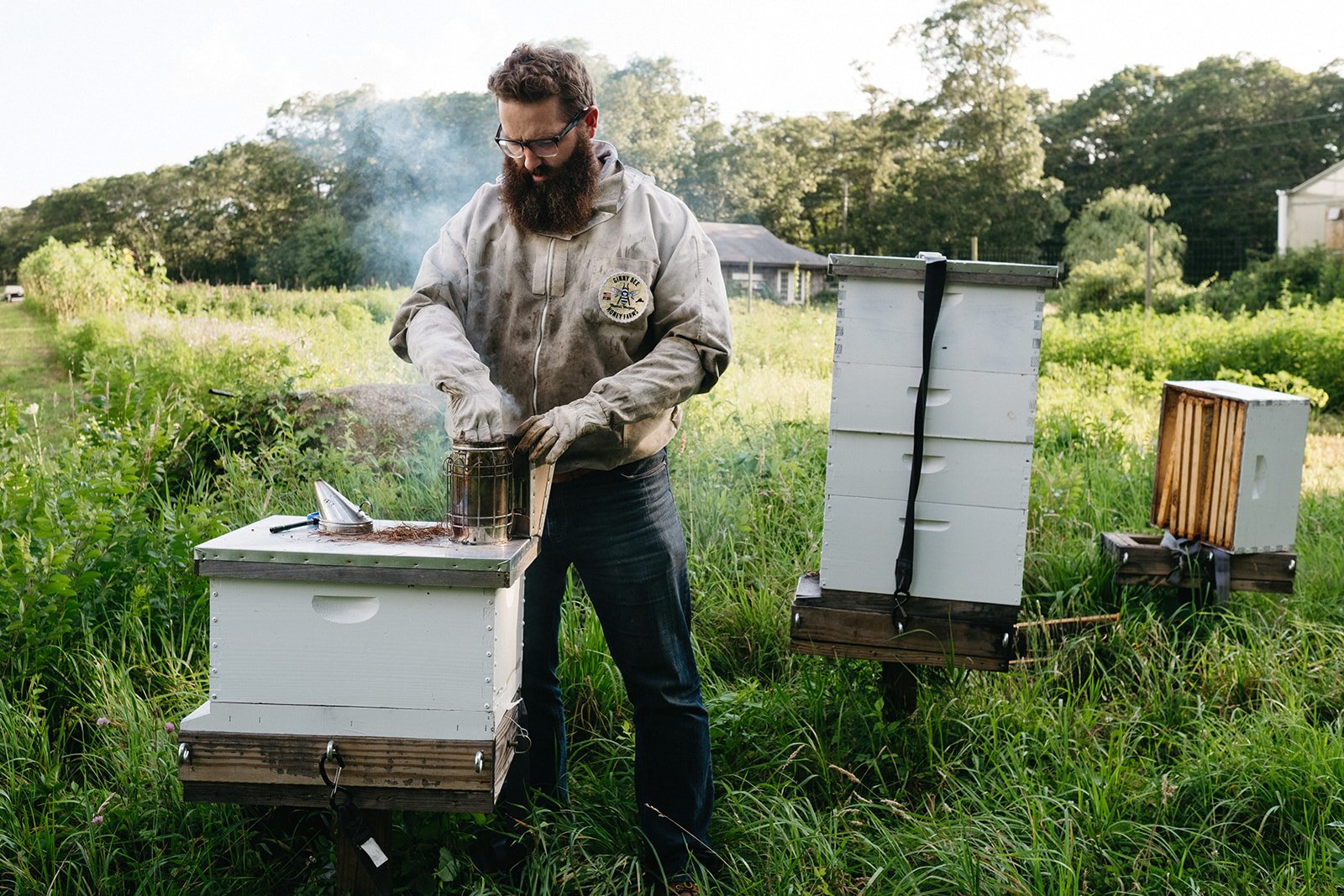 sheny-leon-beekeeping-photography-marthas-vineyard-79.jpg