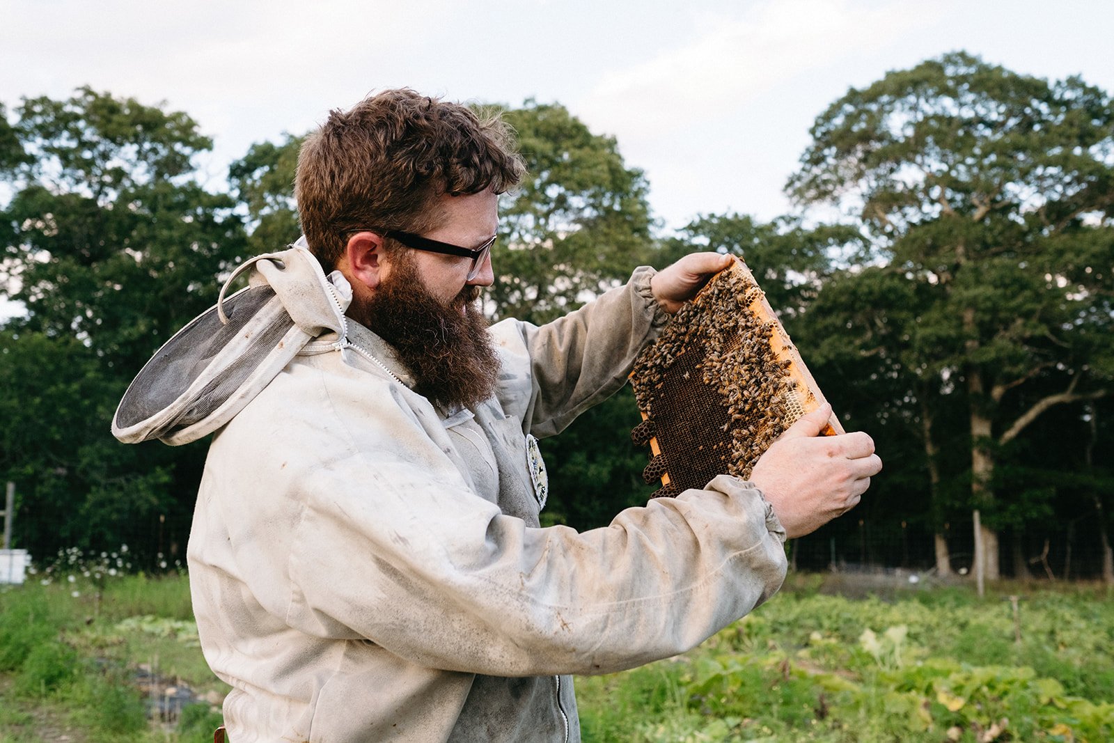 sheny-leon-beekeeping-photography-marthas-vineyard-113.jpg