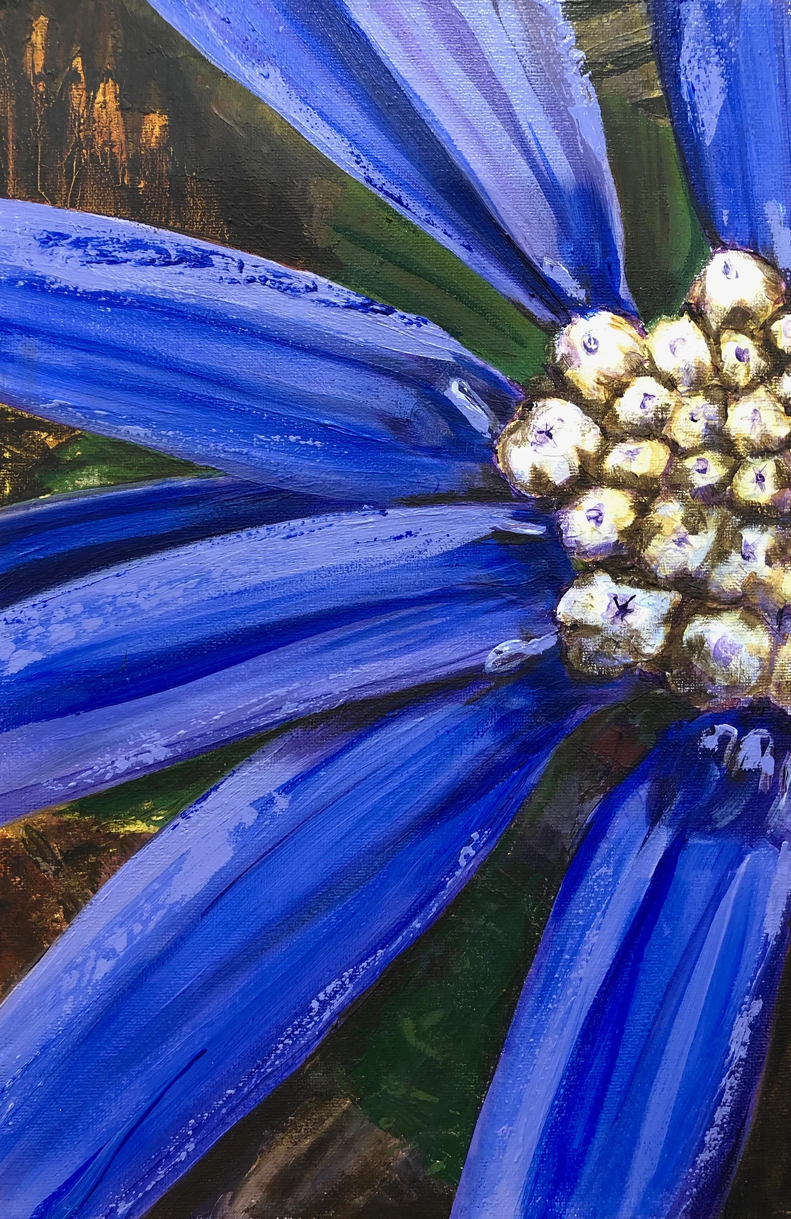 Georgia Aster.jpg