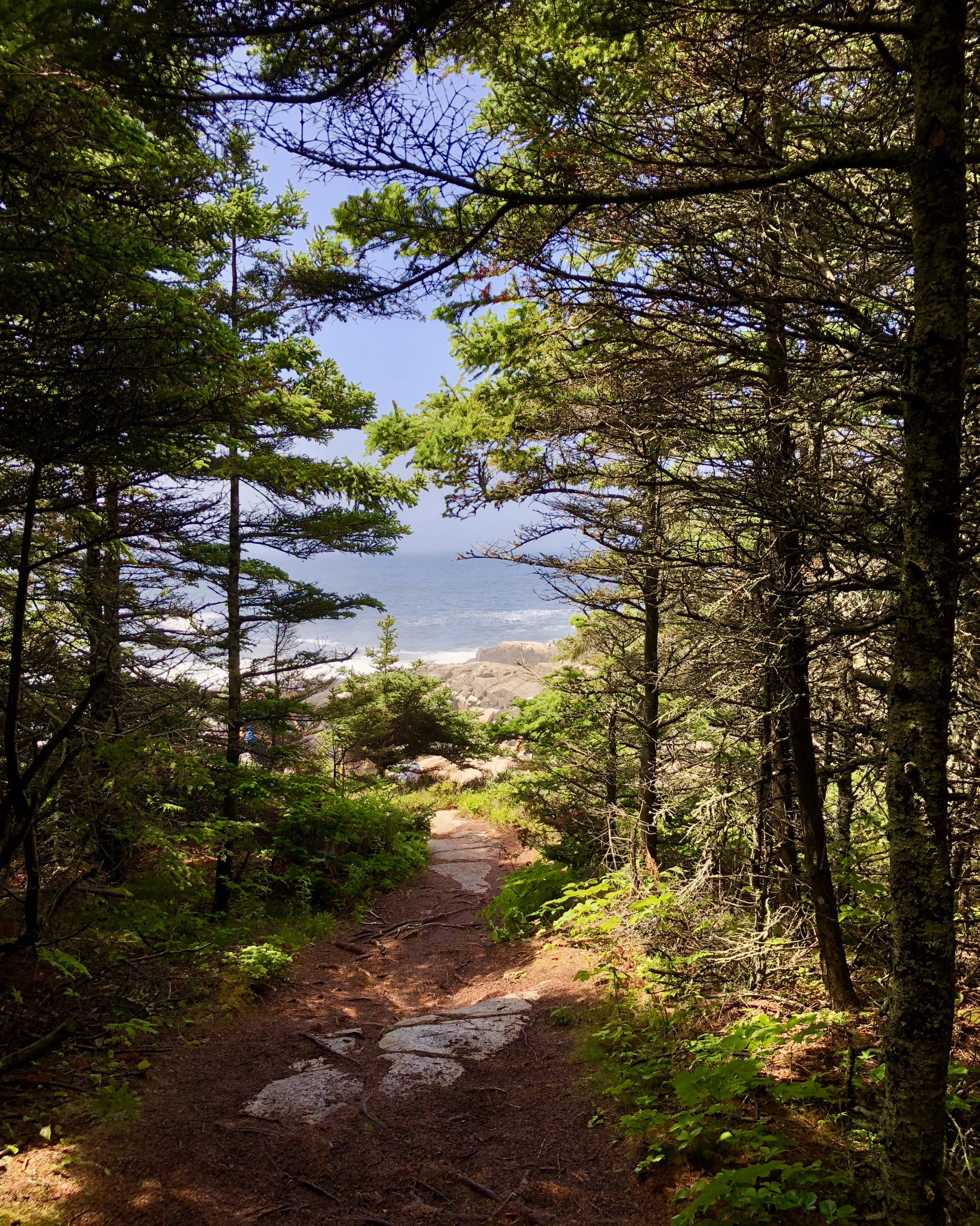 Perhaps a forest scene with a seascape this year?