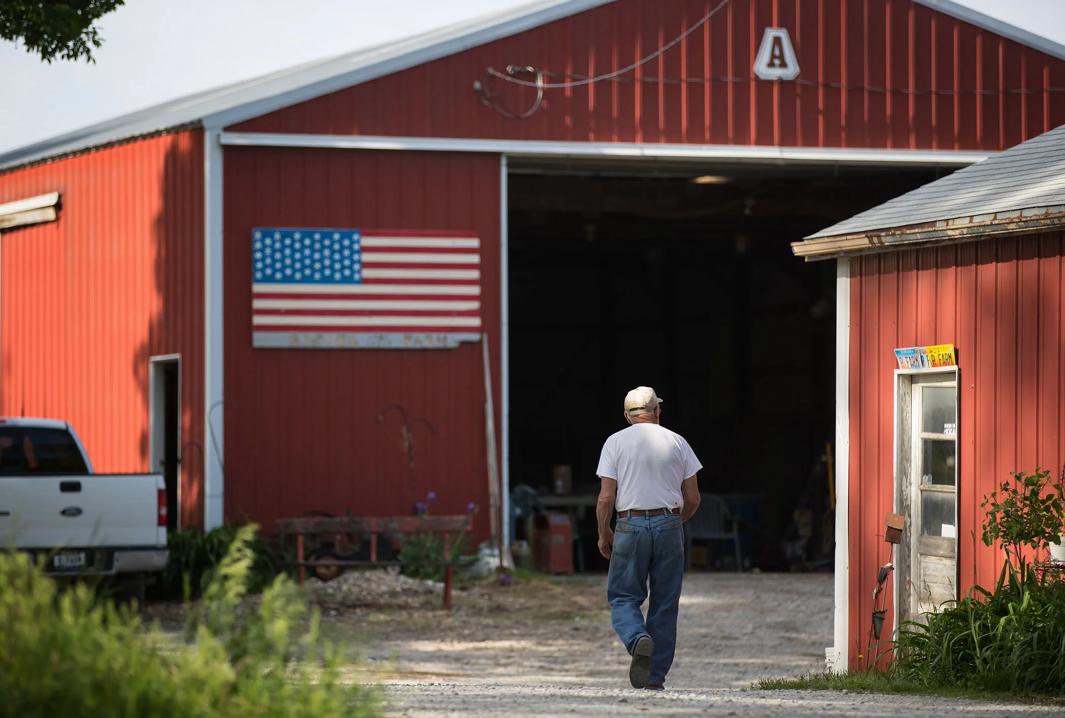 farm05.jpg