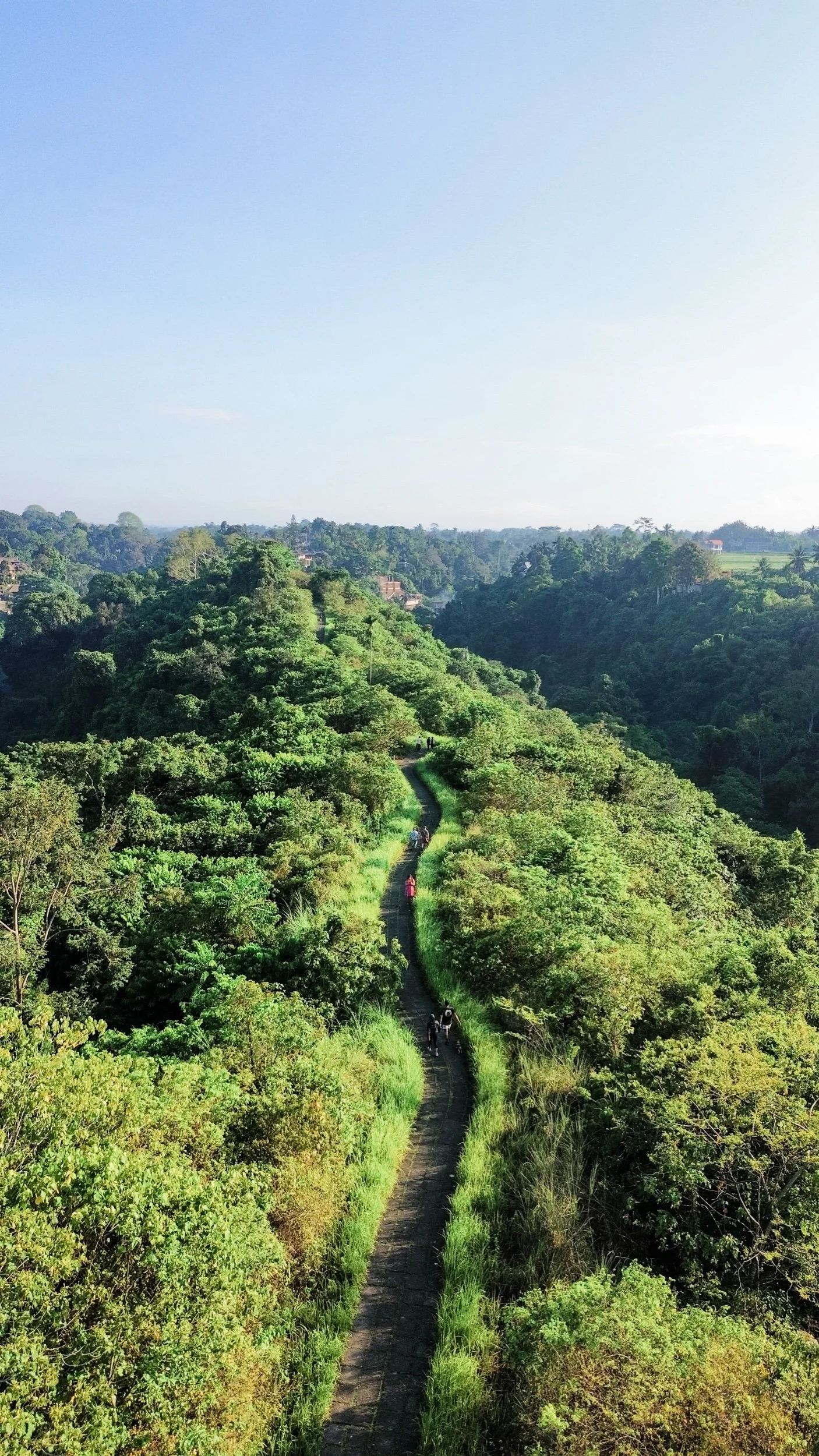 Campuhan Ridge Walk: Ubud’s Hidden Gem for First-Time Visitors