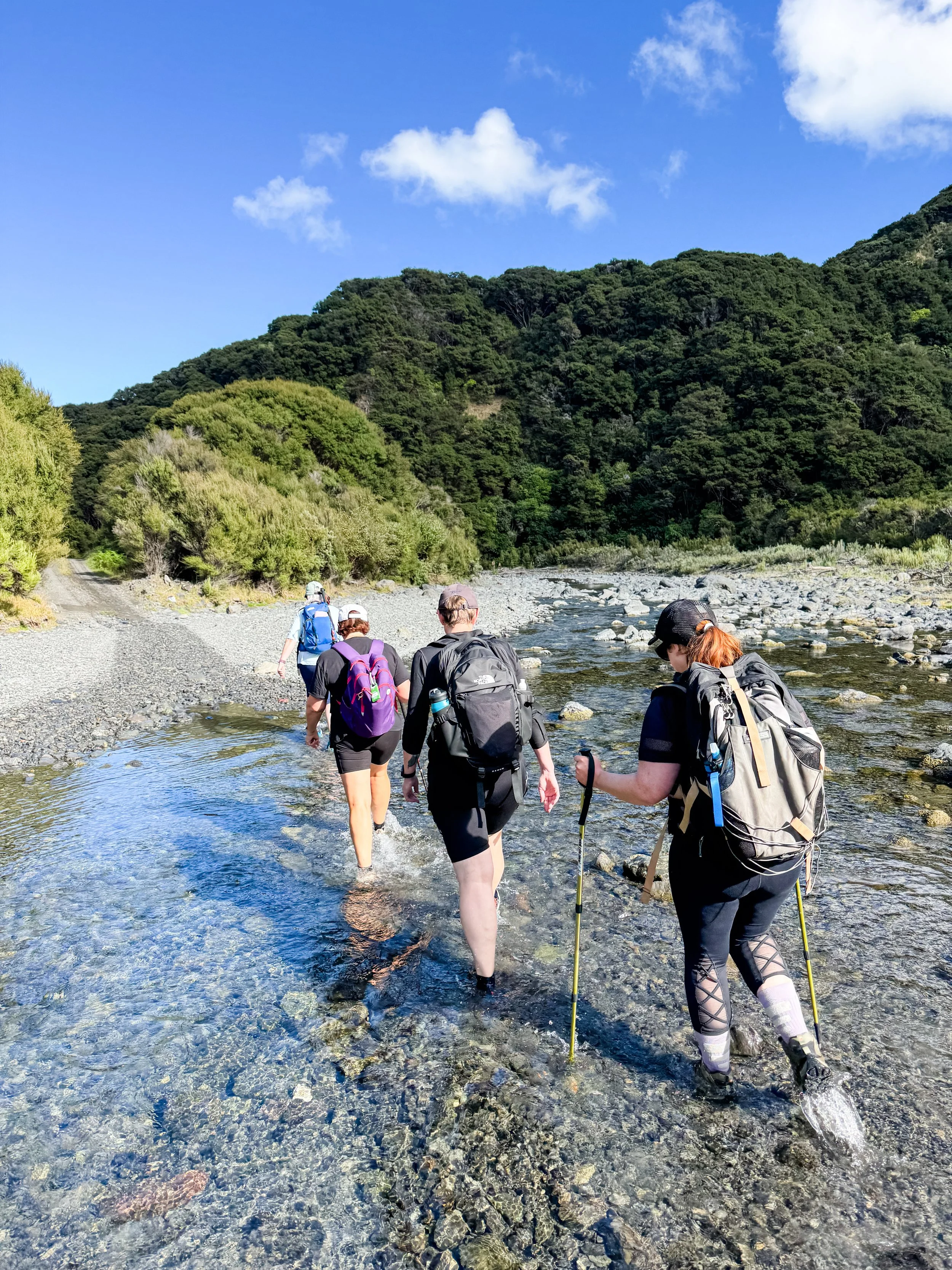 NZ November 2025: Kawakawa Station Walk Hike
