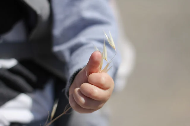 nature walk 3.jpg