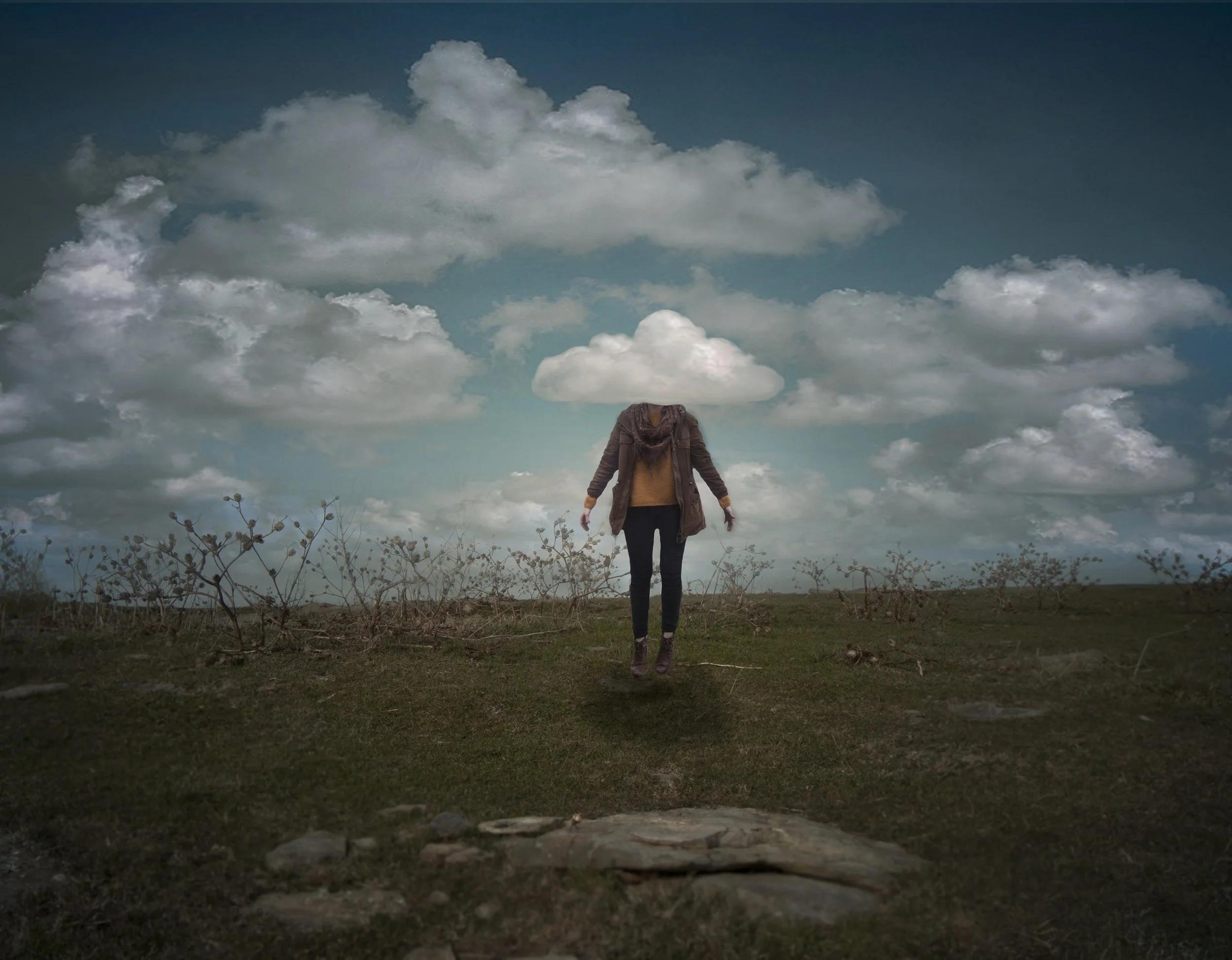 courtney stoddard hybrid animal 01-2.jpg