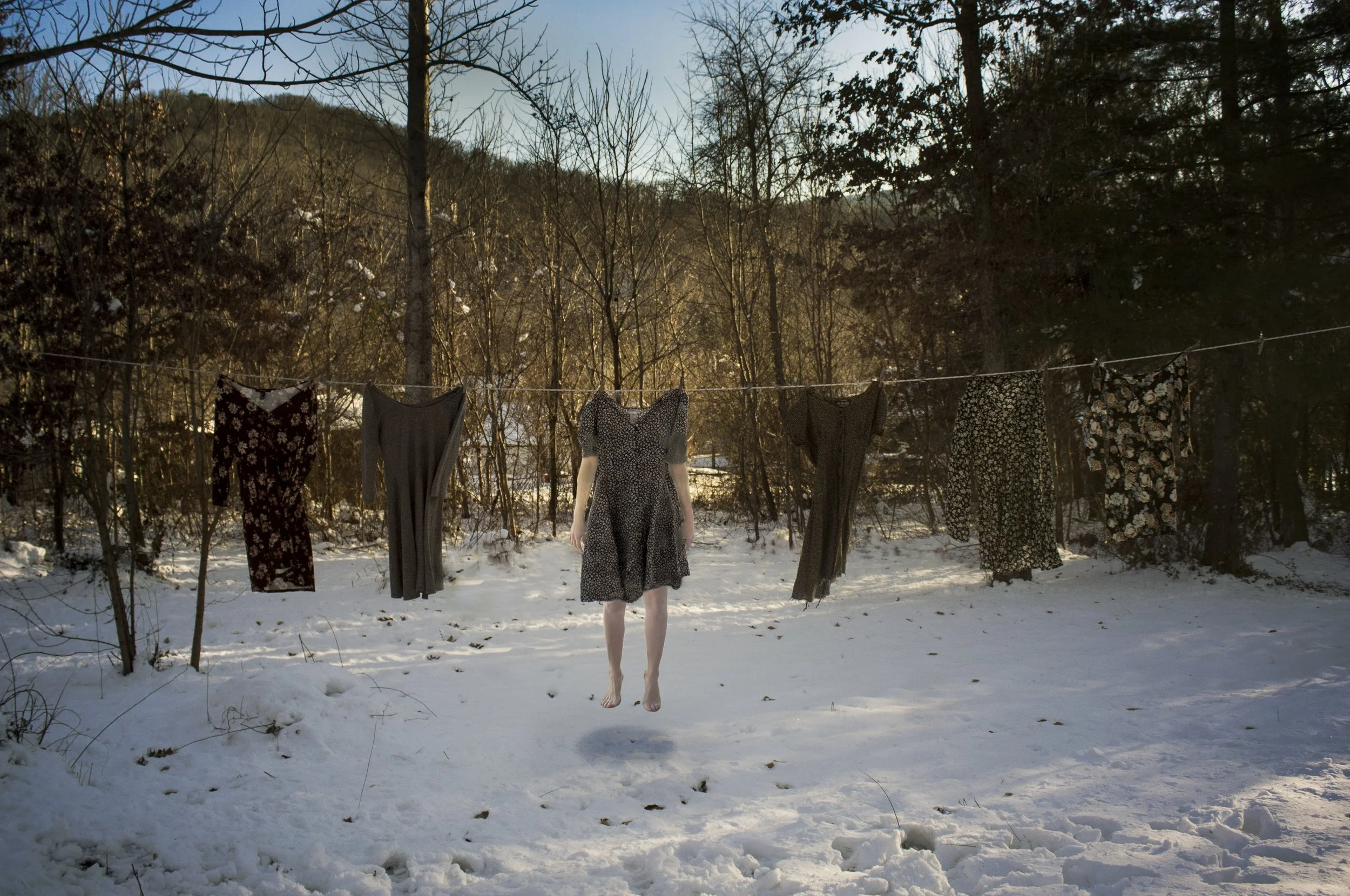 courtney stoddard hybrid animal 01-5.jpg