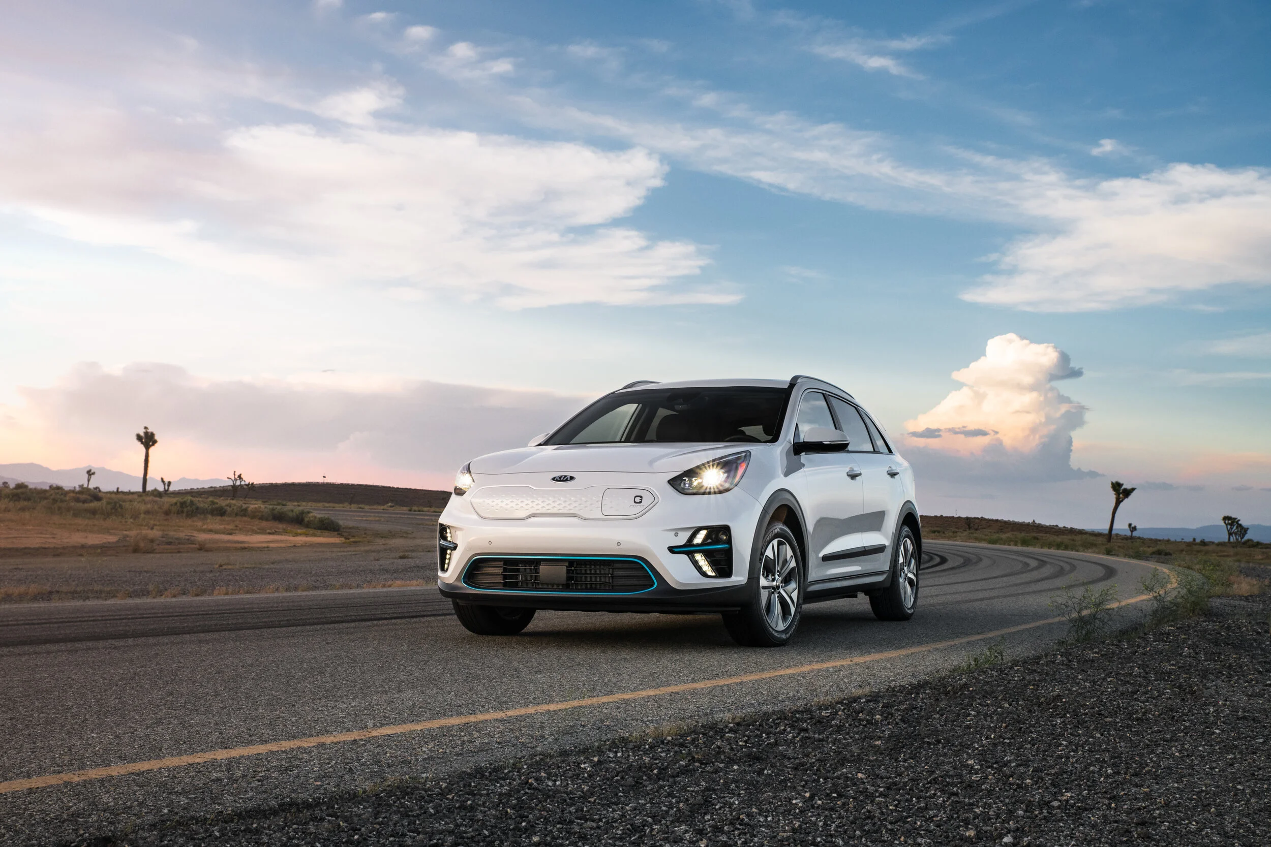 15169_2019_Niro_EV.jpg