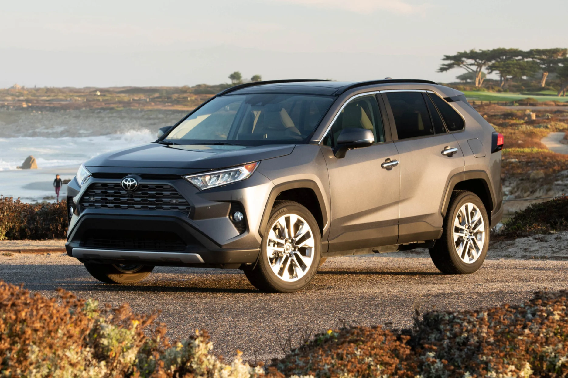 2019_Toyota_RAV4_Limited_FWD_MagneticGrayMetallic_02_47C268B1346080E0681E3DE698AAF769858C6B64.jpg