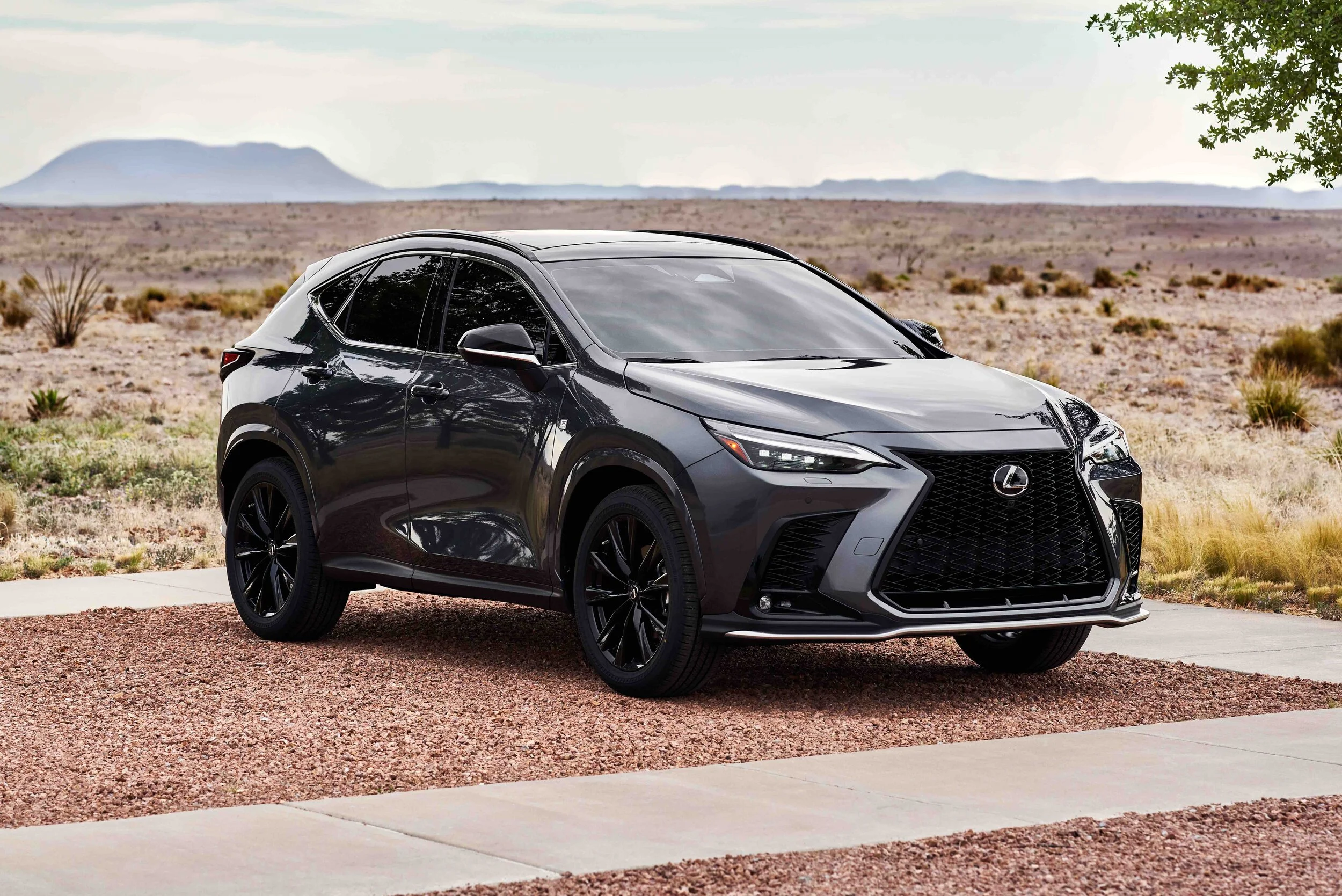 2022 Lexus NX Preview