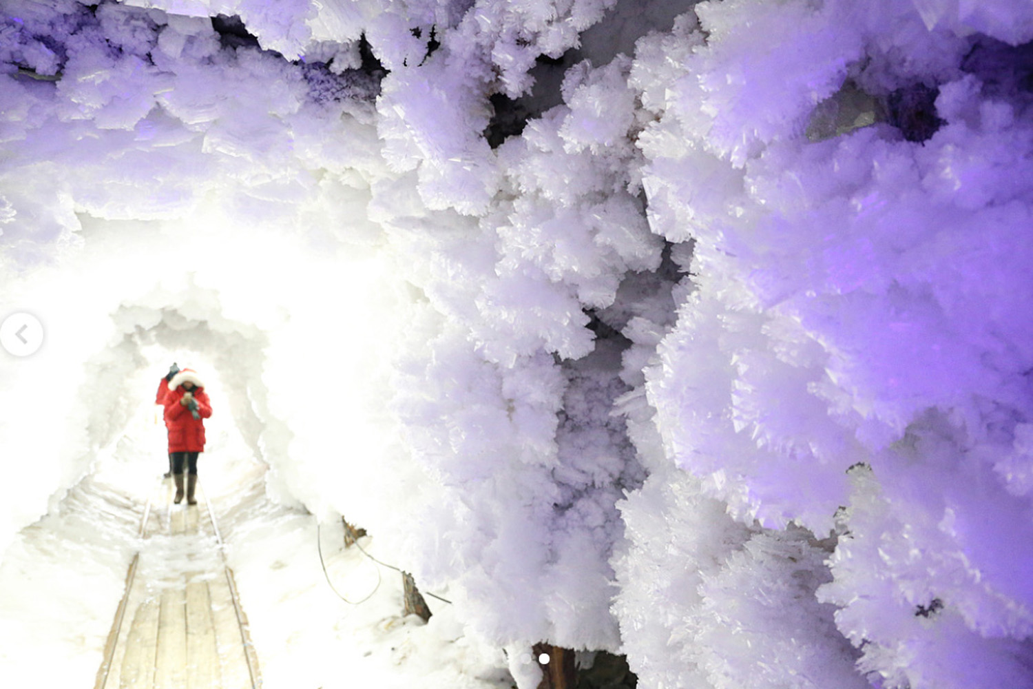 Siberia En Extreme Nature Tours