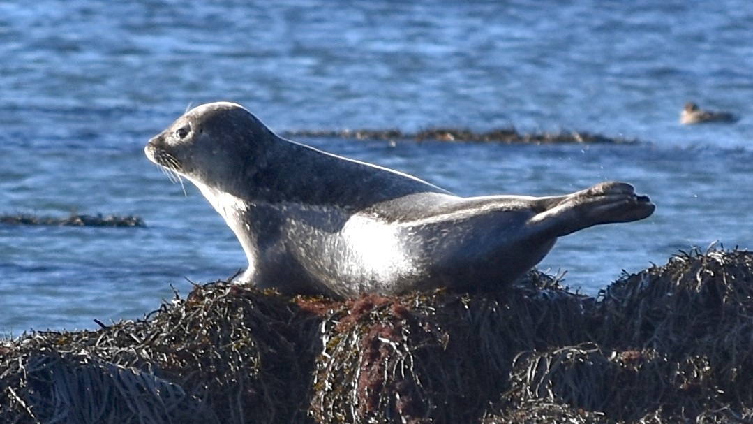 DSC_0506.jpg