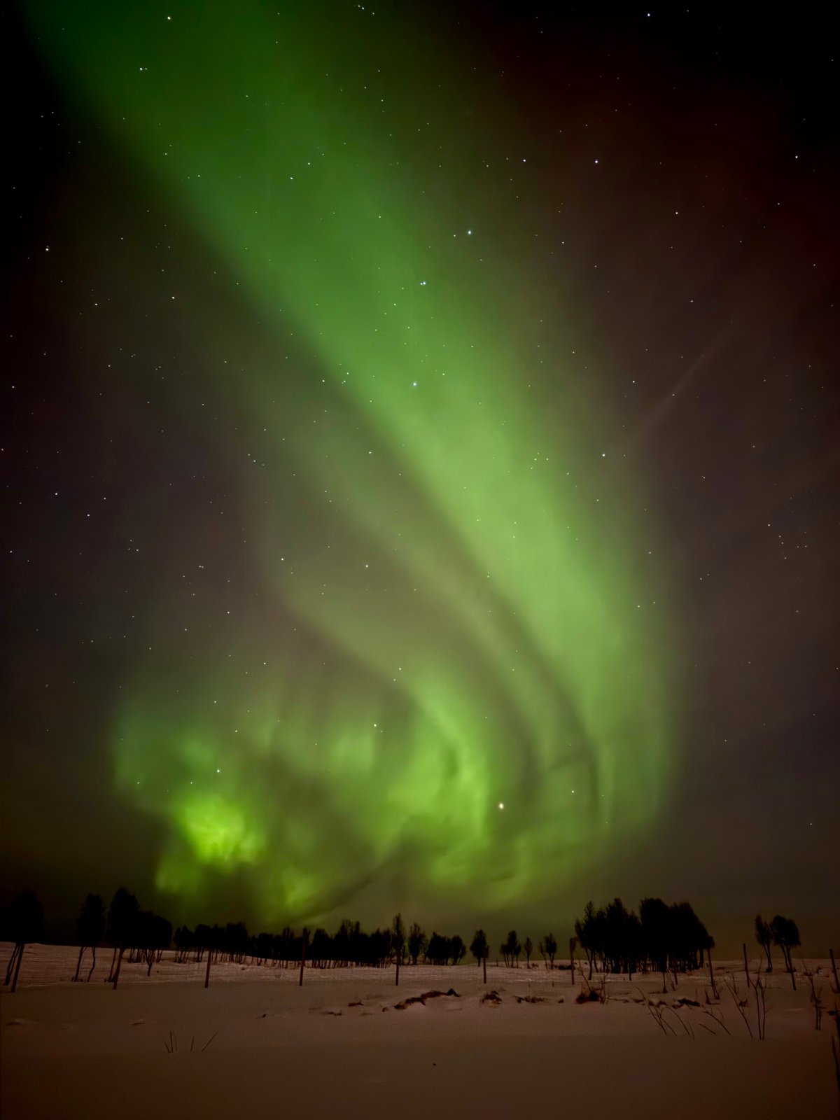 photo-lapland-aurora.jpg