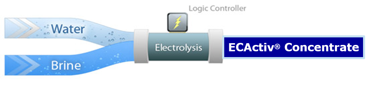 ECA Diagram.png