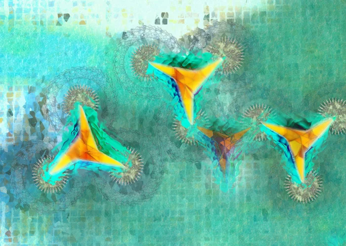 Emergence of Light codes