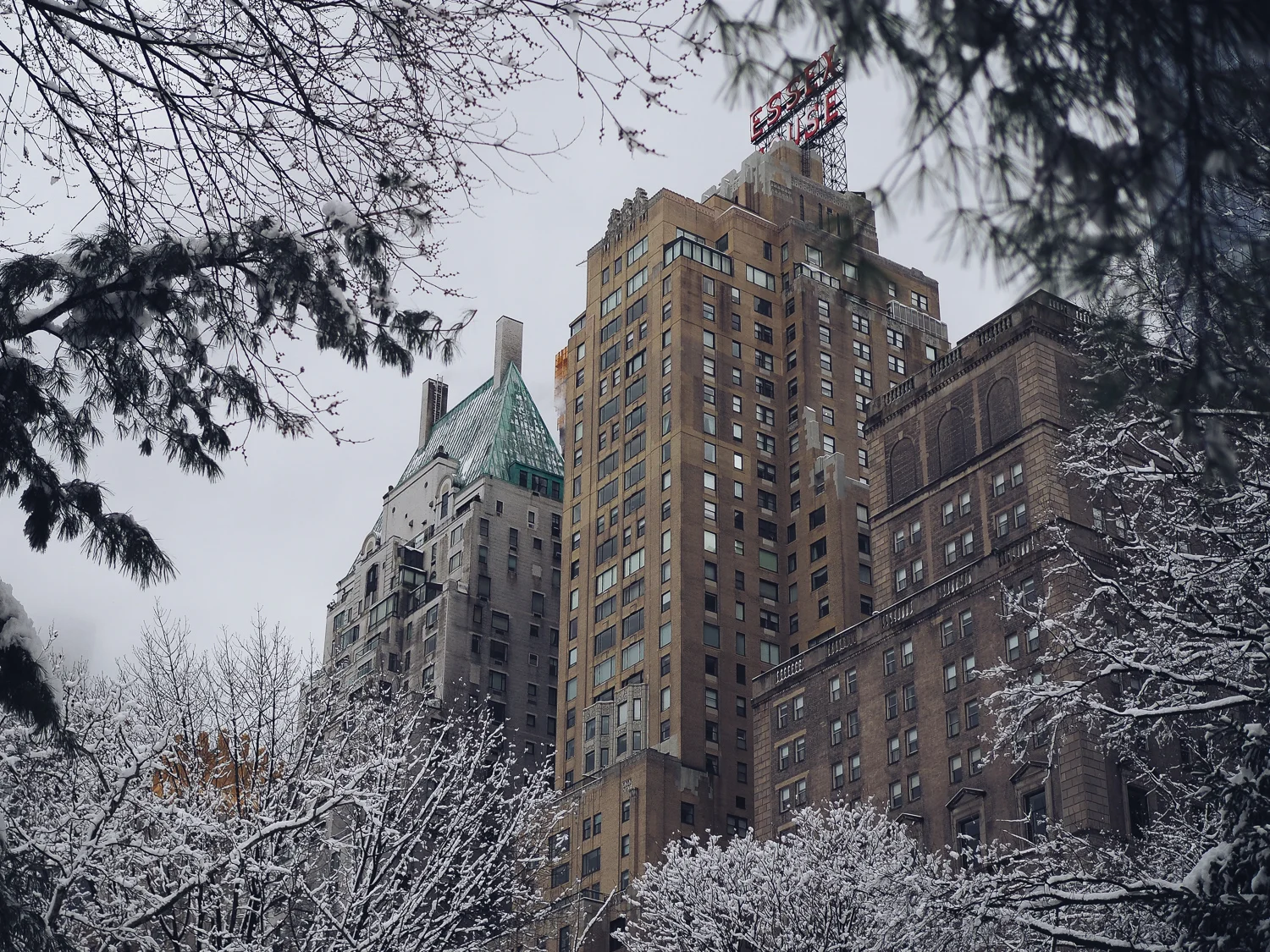 New York_Credit Saige Prime 3.jpg