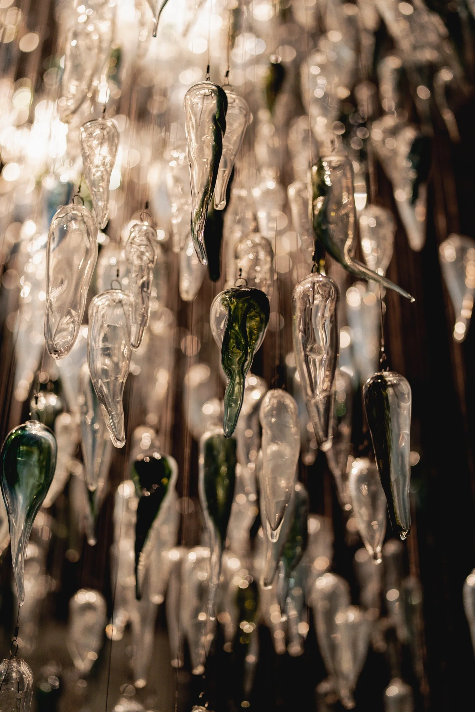 Art Gallery of South Australia