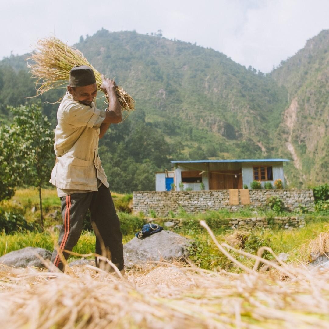 In 2015, the earth shook in Nepal. Within seconds, thousands of people lost their lives, tens of thousands lost their houses and livelihood. Everybody lost something and many lost everything.⁠
⁠
As an organization, we have been able to substantially 