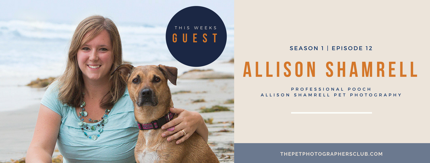 Spoil your pet photography clients like Allison Shamrell to book more and have higher sales.png