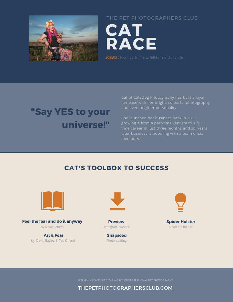 Cat Race -Toolbox to Success Infographic.png