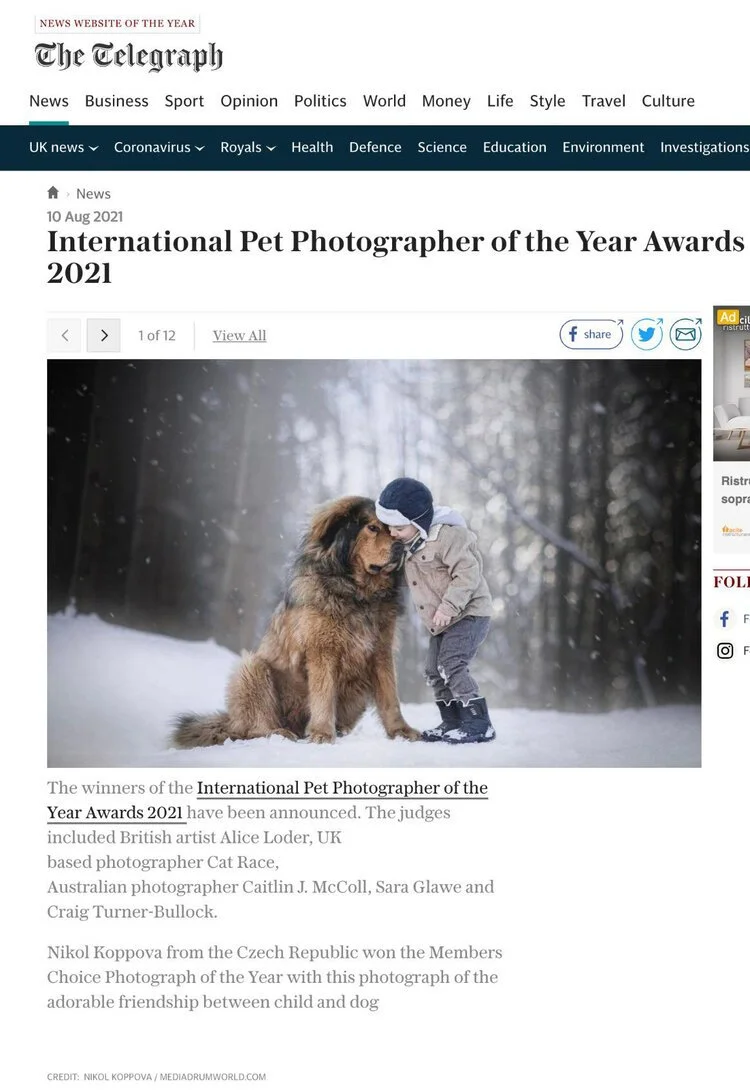 How To Approach The Media To Promote Your Success In The Awards The Pet Photographers Club