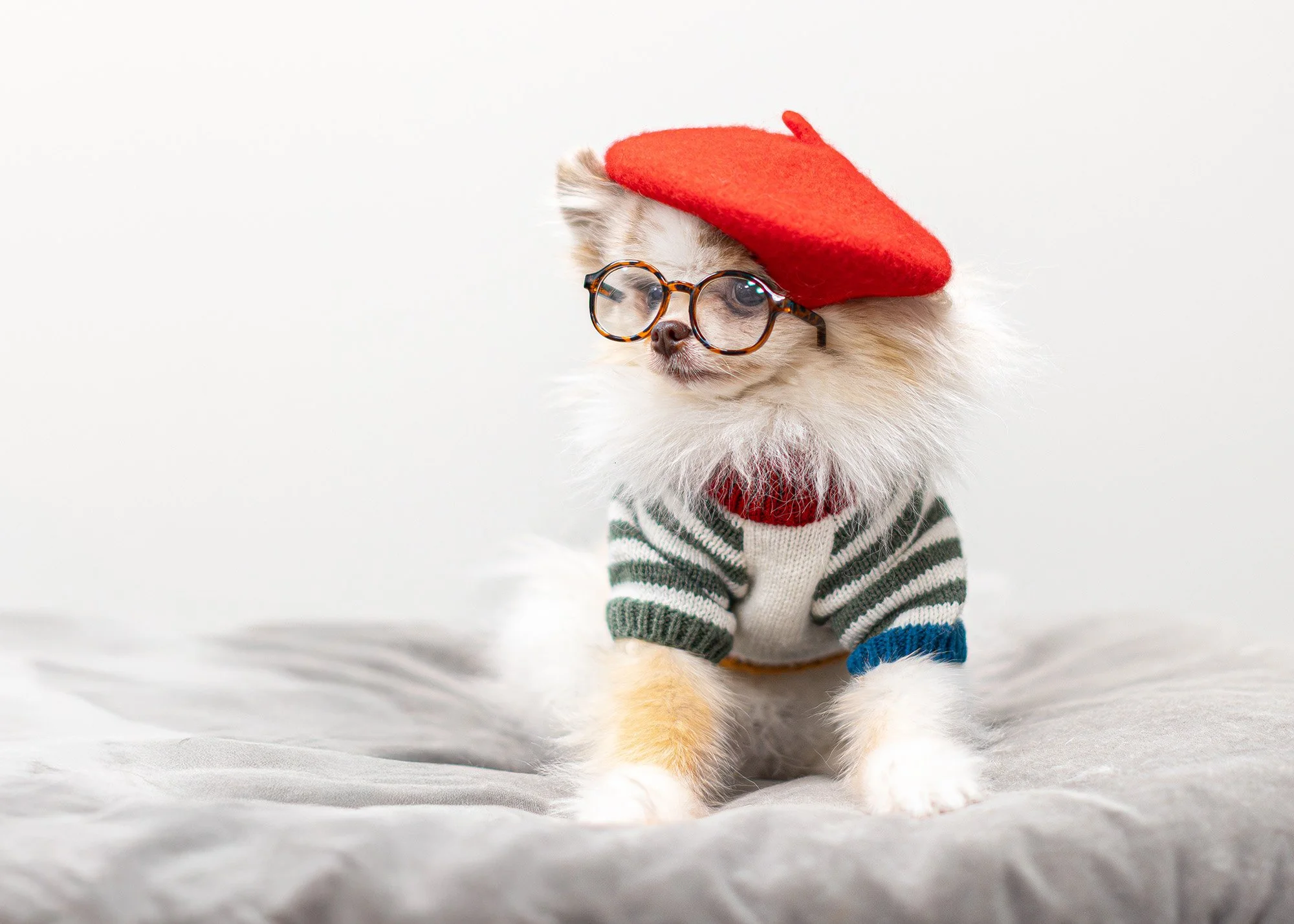 Cornelius-1.jpg