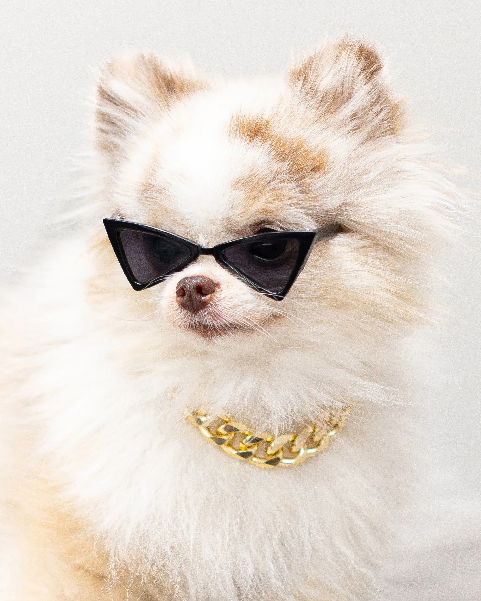 Cornelius-6 Crop.jpg