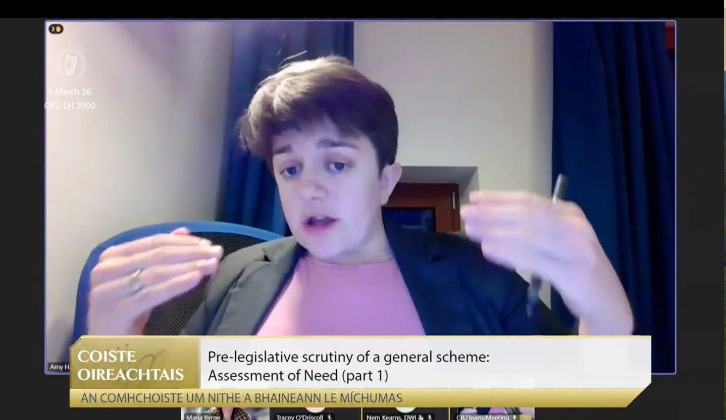 DWI Addresses Joint Oireachtas Committee on the Disability (Amendments) Act 2025