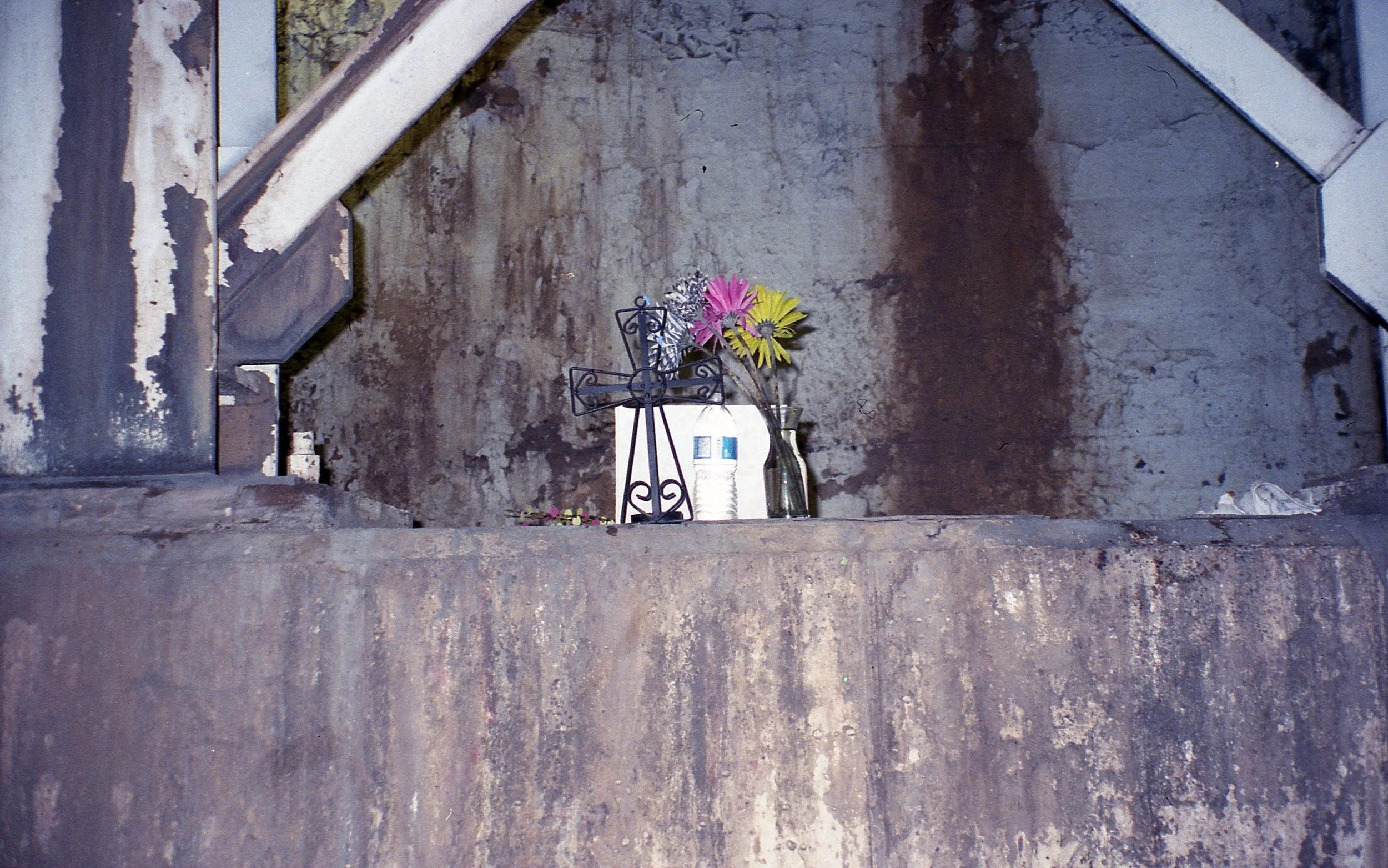 img008.jpg